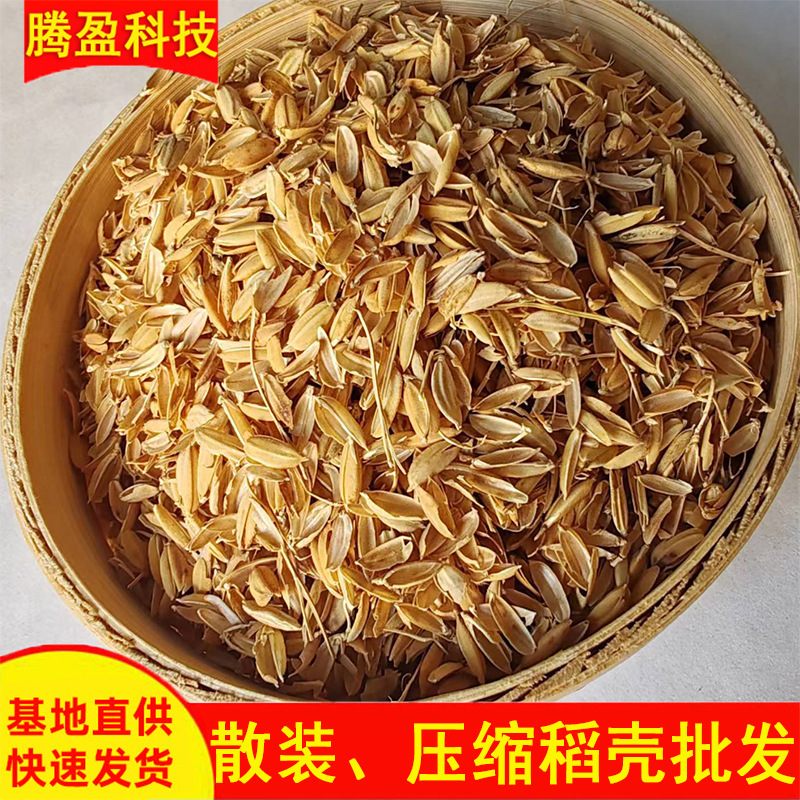厂家稻壳批发压缩散装稻谷壳养殖垫料食用菌种植基质