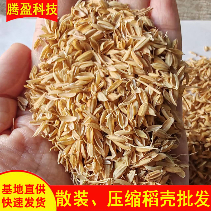 厂家稻壳批发压缩散装稻谷壳养殖垫料食用菌种植基质