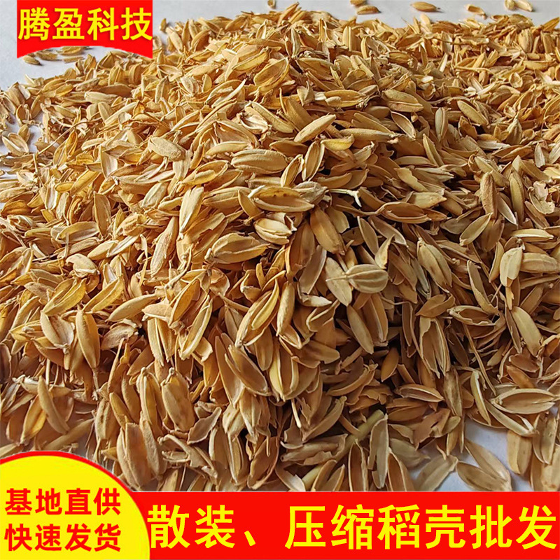 厂家稻壳批发压缩散装稻谷壳养殖垫料食用菌种植基质