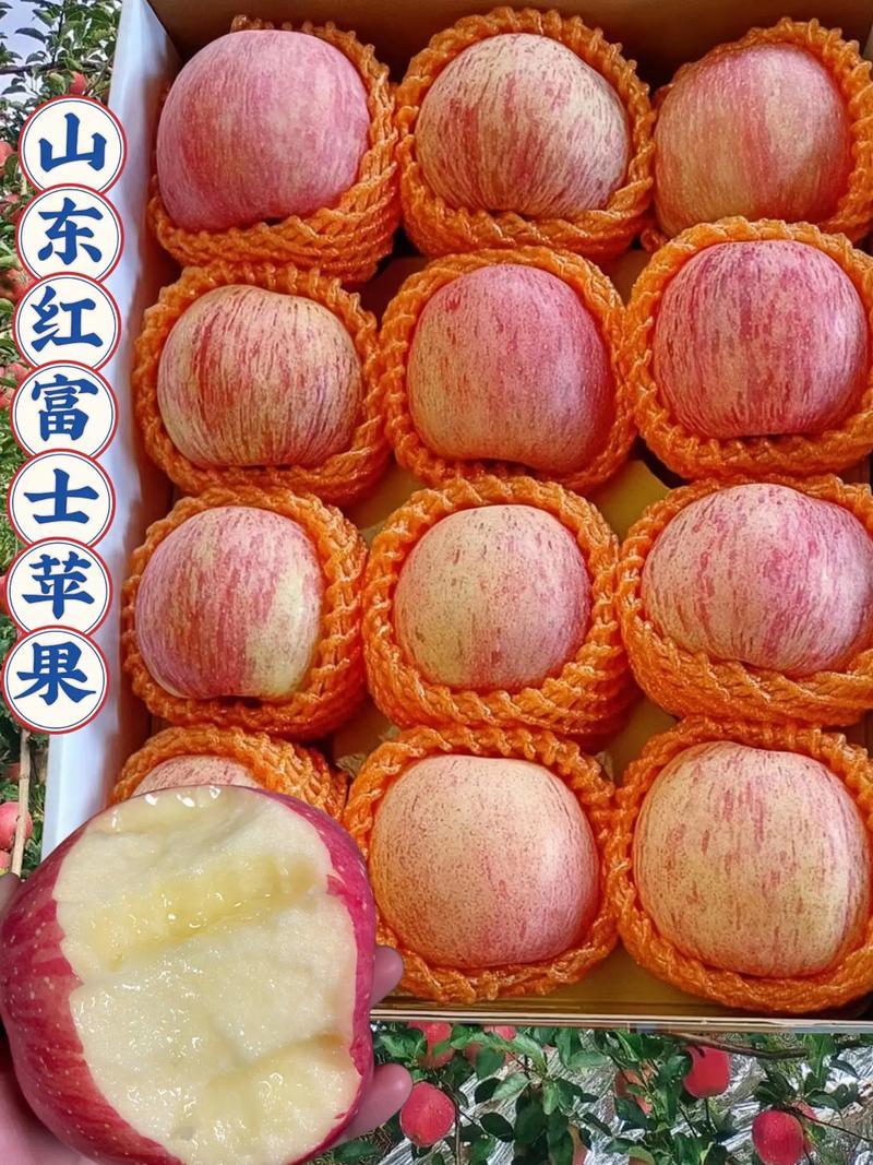 苹果产地红富士苹果产地批发口感脆甜货源充足
