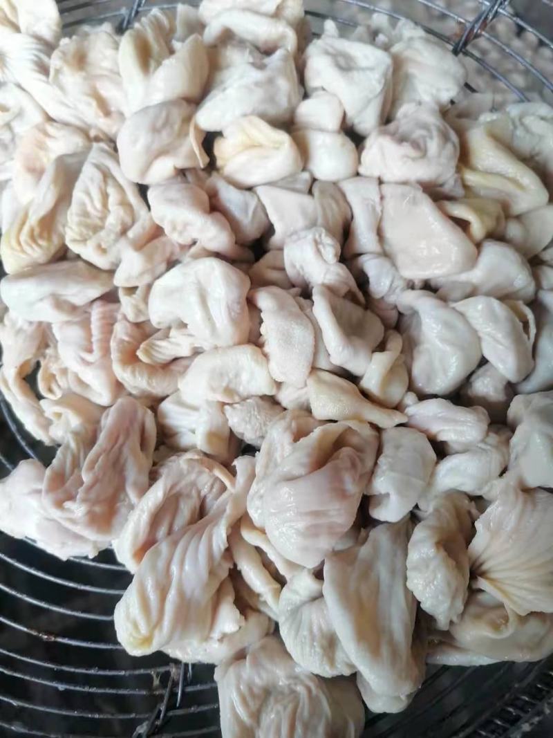 大肉食嗉皮长肚（八成熟）