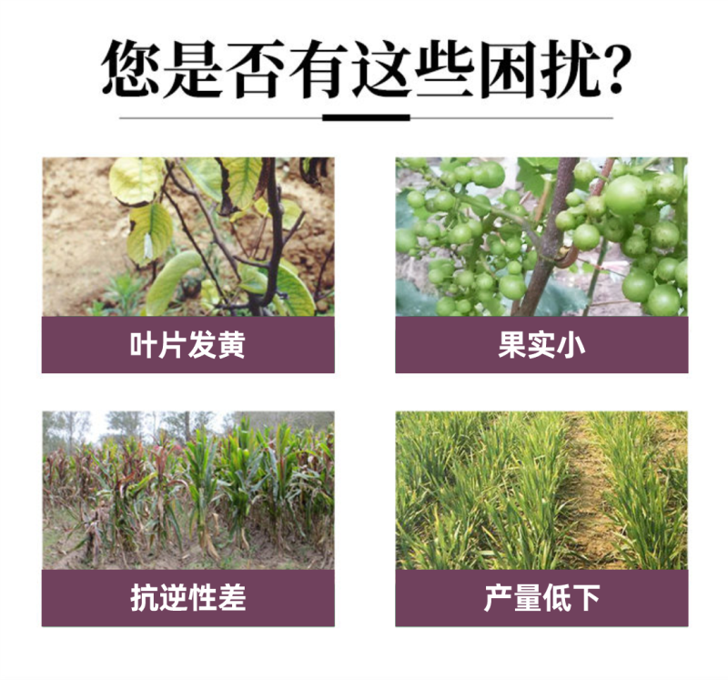 液态氮肥快速高效补氮免追肥增产增大量元素水溶肥料