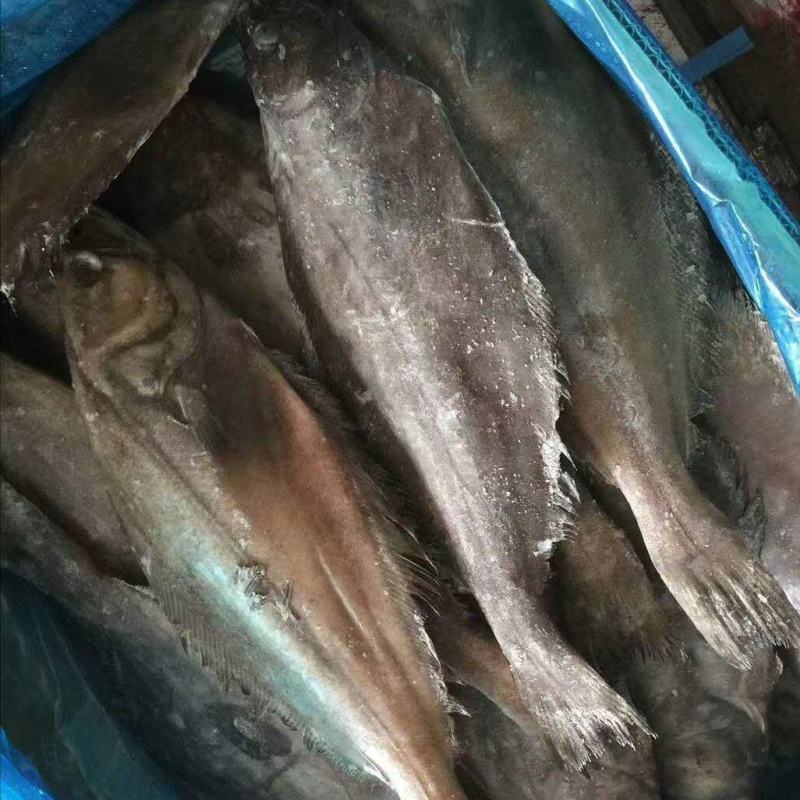 单冻鲽鱼可视频看货量大从优可全国发货欢迎选购