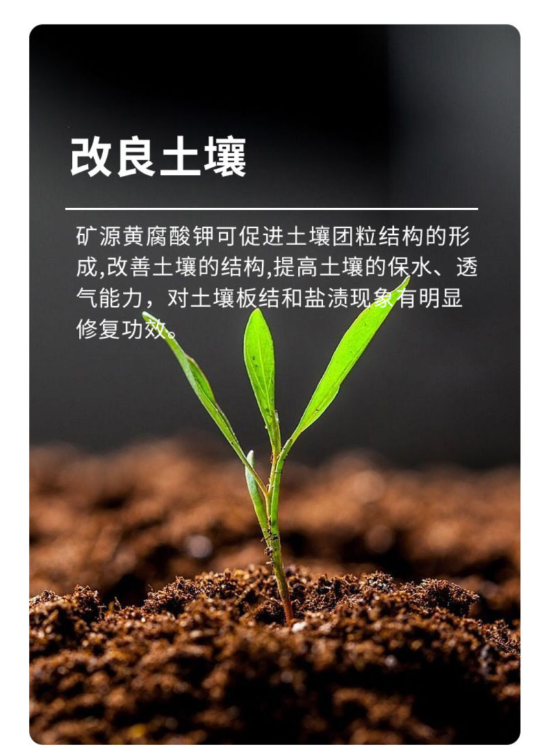 矿源黄腐酸钾生根活化土壤钾肥膨果转色含腐殖酸水溶肥料