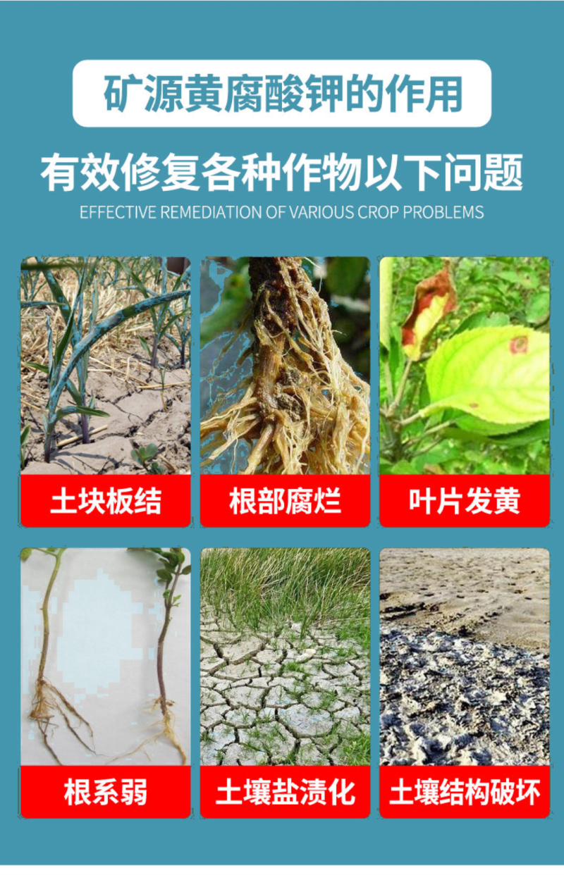 矿源黄腐酸钾生根活化土壤钾肥膨果转色含腐殖酸水溶肥料