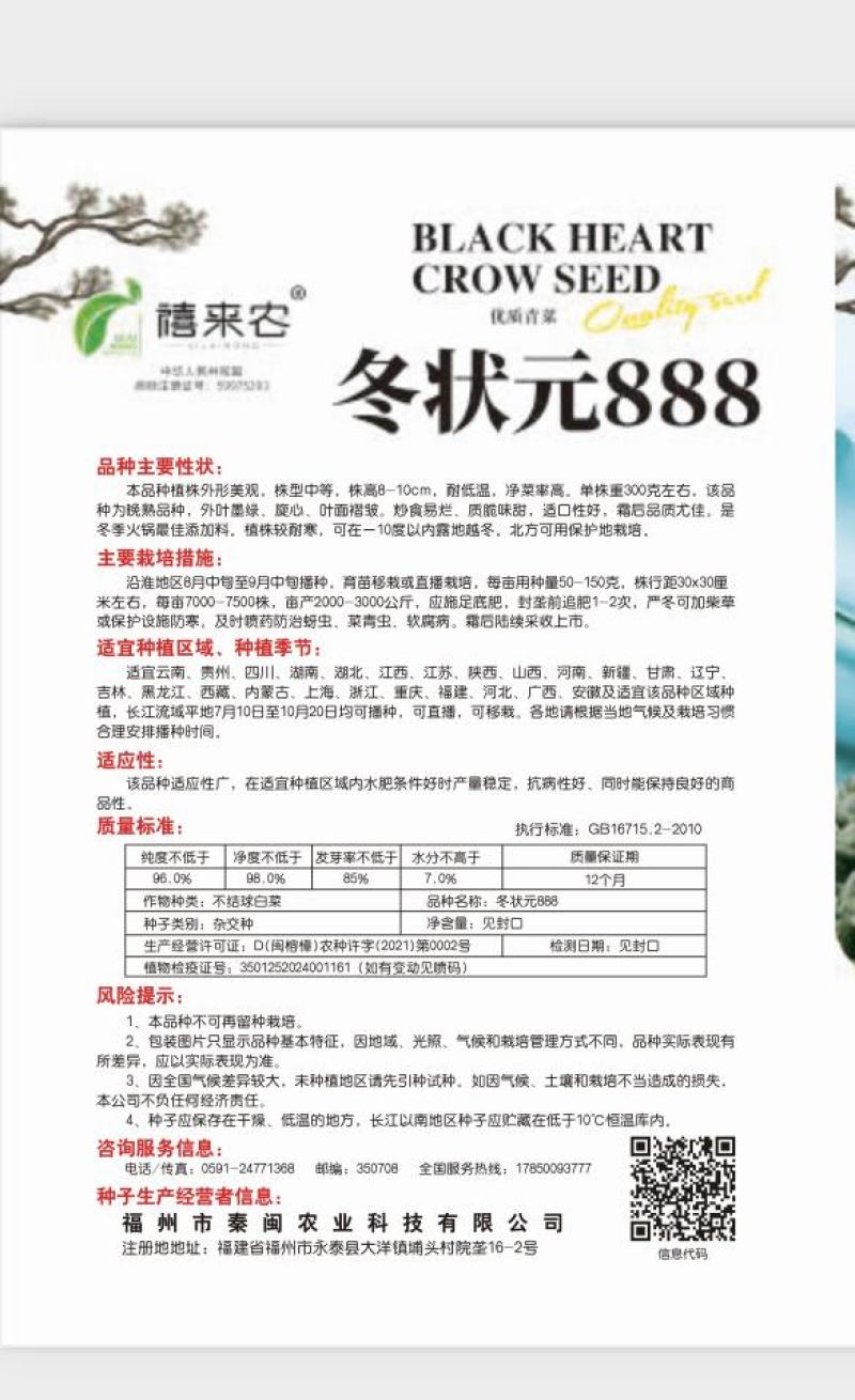 黑心乌菜种子黑油菜乌塌菜种籽黄心乌耐寒抗病高产秋季播蔬菜