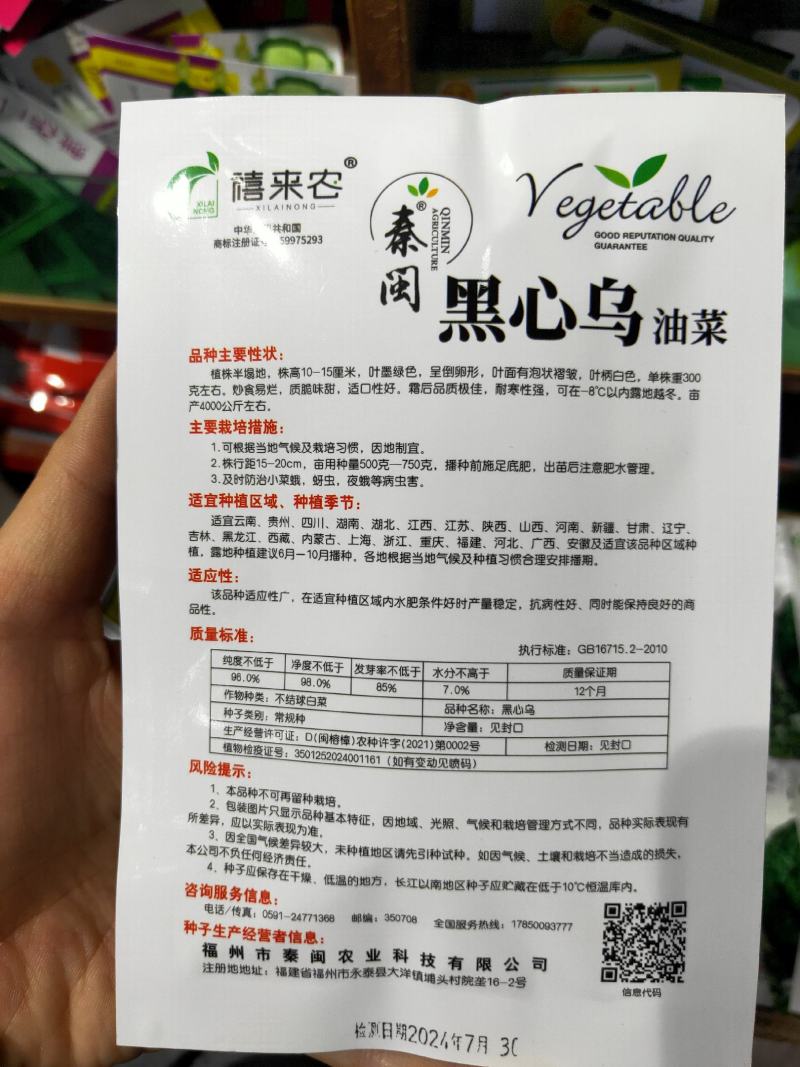 黑心乌菜种子黑油菜乌塌菜种籽黄心乌耐寒抗病高产秋季播蔬菜
