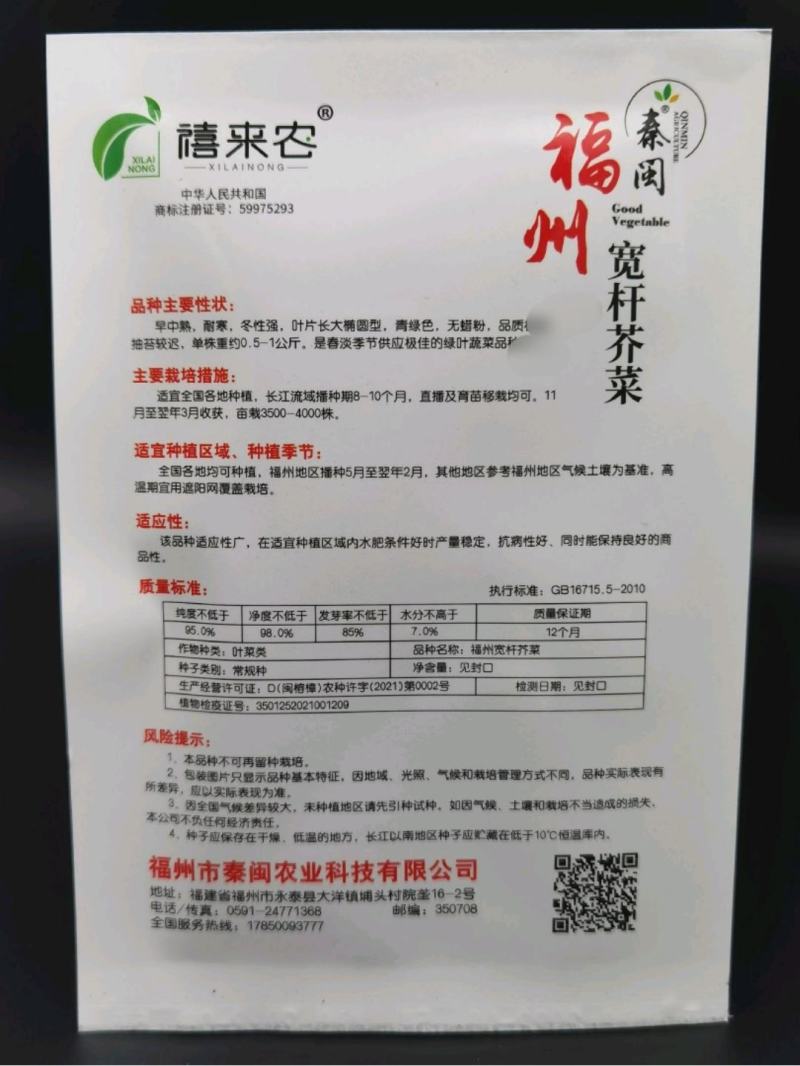 福州宽杆客家甜芥菜种子腌制酸菜咸菜庭院春秋四季易播蔬菜籽