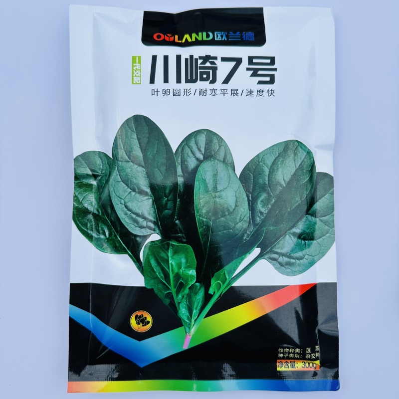 欧兰德川崎7号菠菜籽速生杂交菠菜种子春秋四季耐寒越冬蔬菜