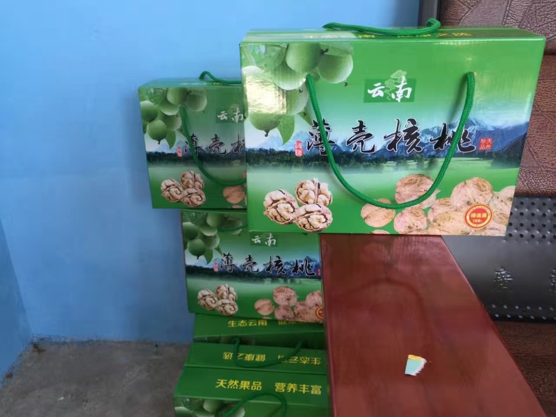 云南纸皮核桃