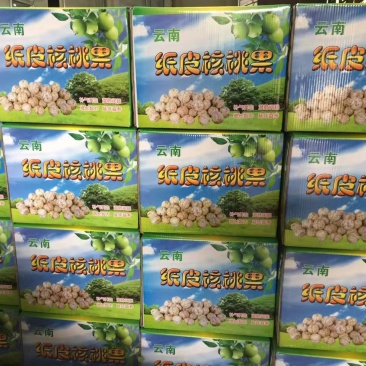 云南纸皮核桃