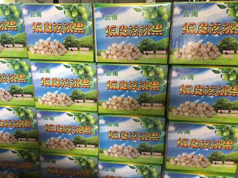 云南纸皮核桃