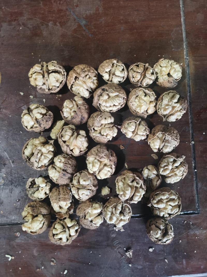 云南纸皮核桃