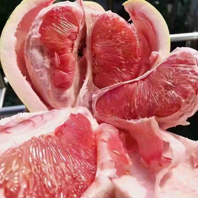 当季柚子红心柚红心蜜柚新鲜蜜柚量大从优全国发货欢迎来电