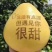 当季柚子红心柚红心蜜柚新鲜蜜柚量大从优全国发货欢迎来电