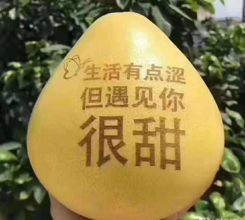 【水分饱满】红心柚当季柚子发货电商商超档口都可以走货