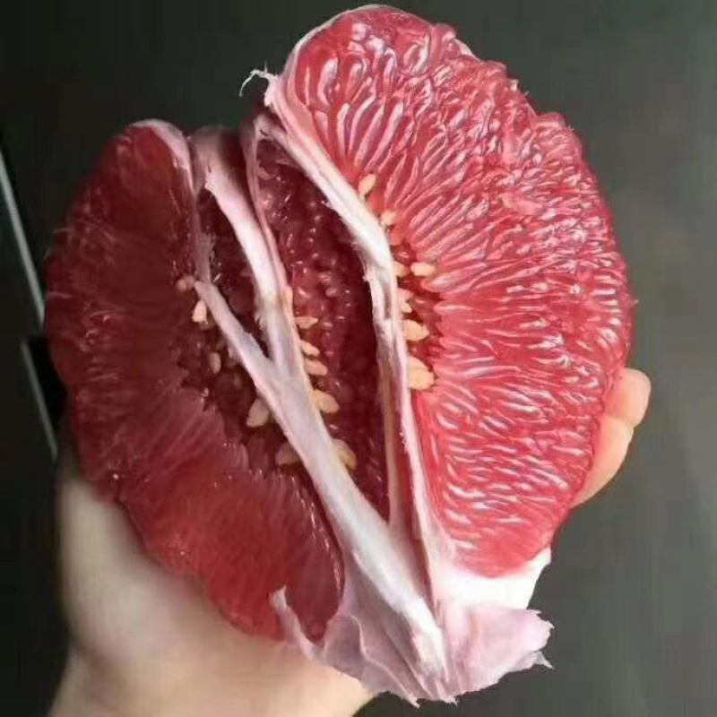 【水分饱满】红心柚当季柚子发货电商商超档口都可以走货