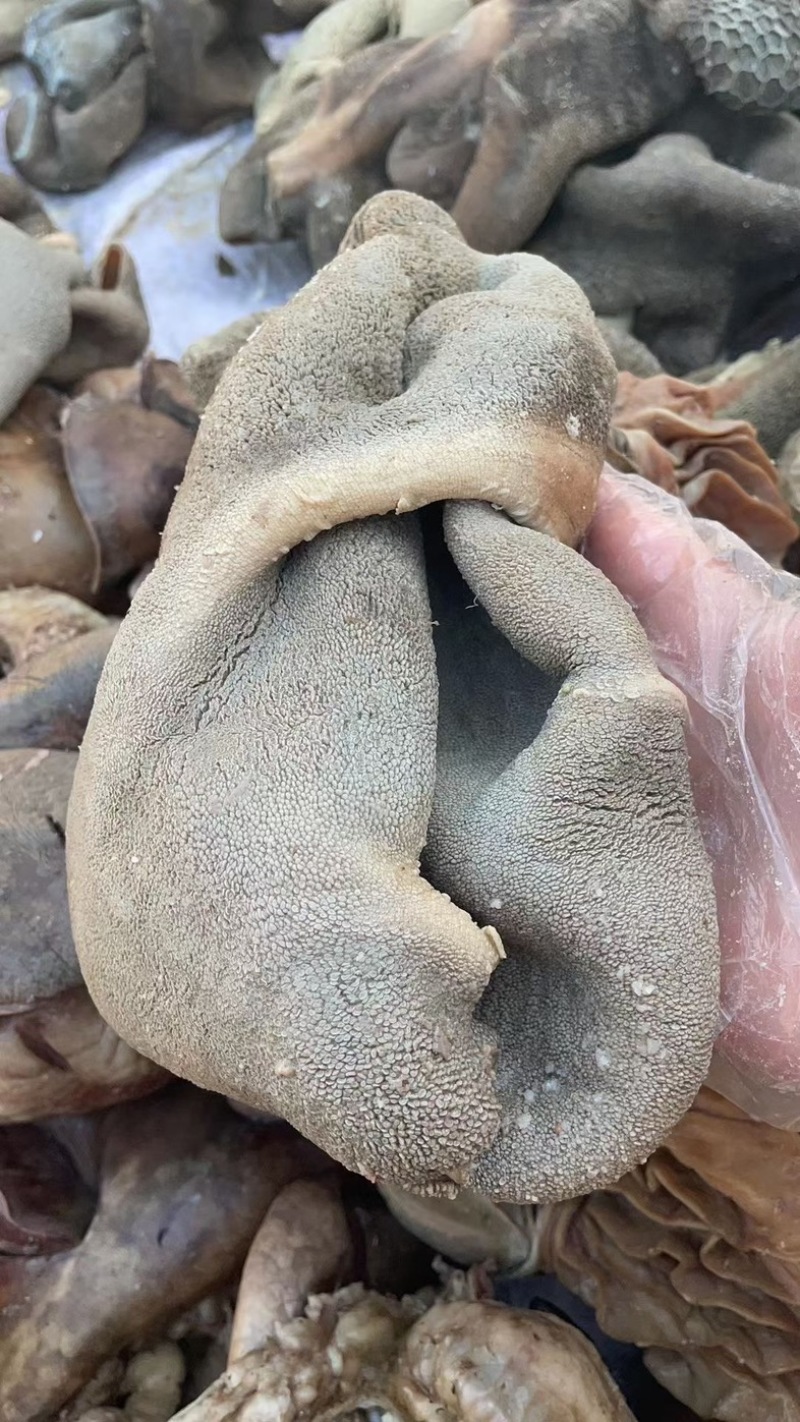 熟羊肚