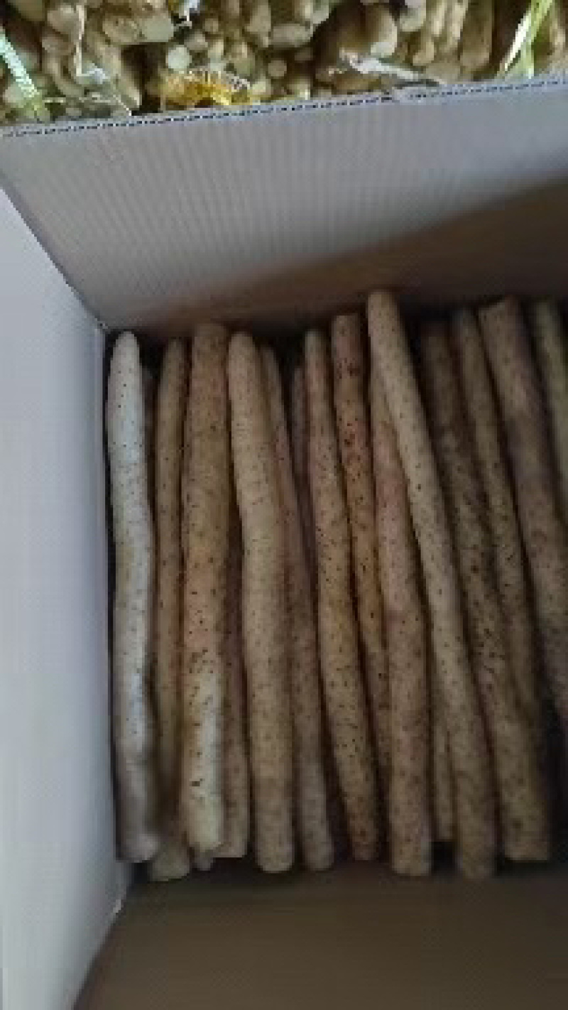小白嘴白山药，铁棍山药对接全国量大从优河北山药价格美丽