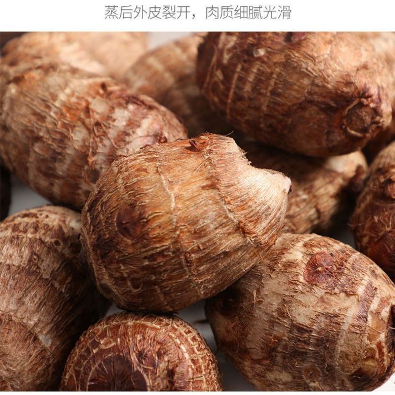 甄选芋头25年新芋头毛芋头芋头8520全国发货