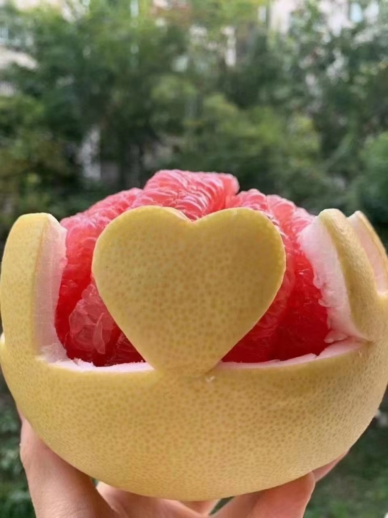 【精选】红心蜜柚湖北蜜柚对接市场电商外贸汁水肉厚