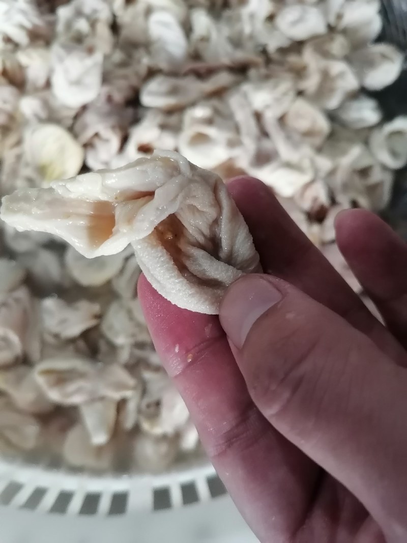 【熟食鸡嗉子】大肉食嗉皮长肚（八成熟）