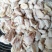 【熟食鸡嗉子】大肉食嗉皮长肚（八成熟）