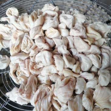 【熟食鸡嗉子】大肉食嗉皮长肚（八成熟）