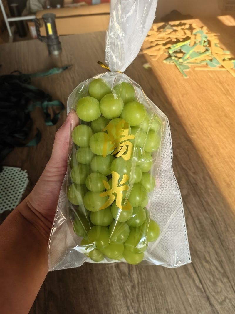 阳光玫瑰葡萄园，全有机肥种植，口感极佳！