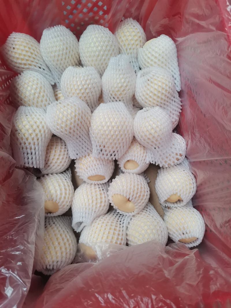 套袋金花梨，可视频看货，原产地直供支持线上交易有保障
