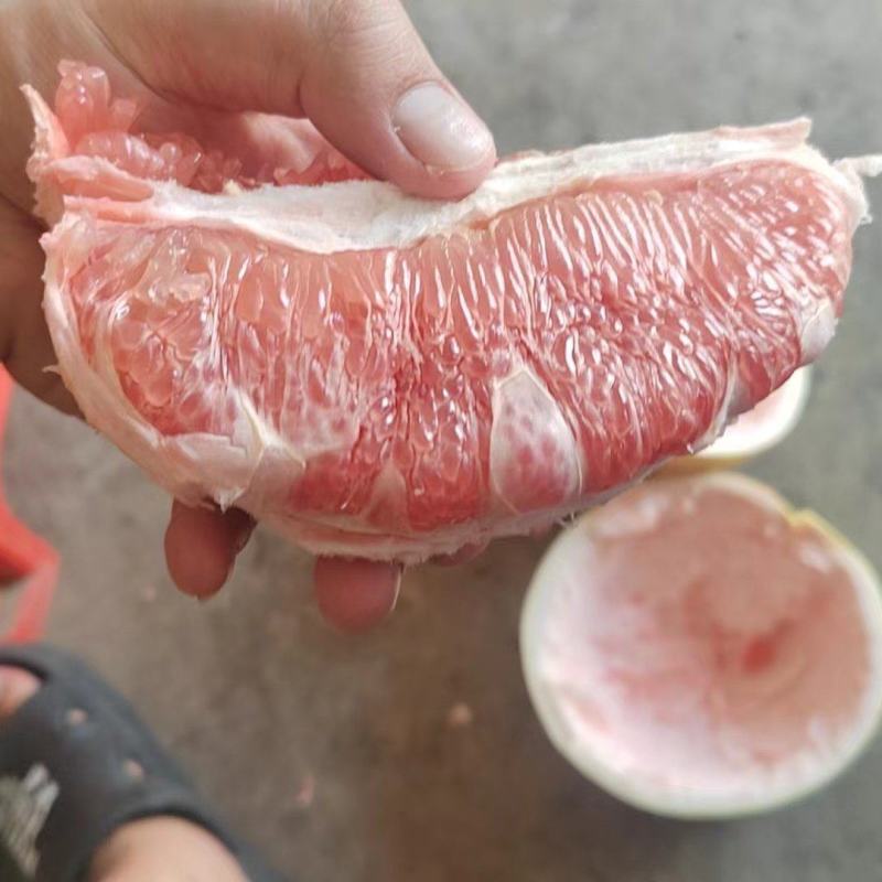 套袋三红柚