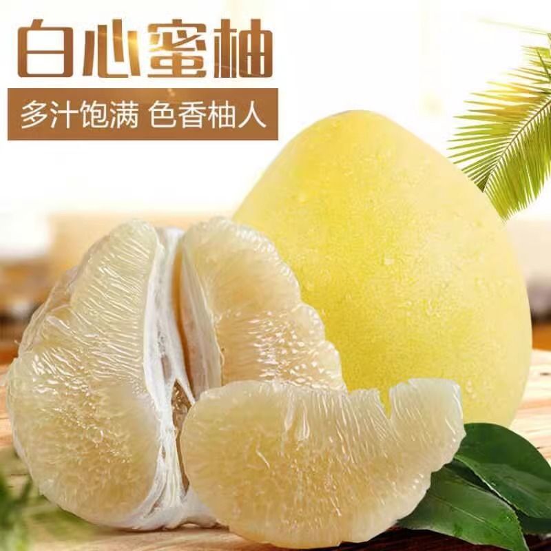 【白心蜜柚】湖北蜜柚大量供应水润多汁色香柚人精选