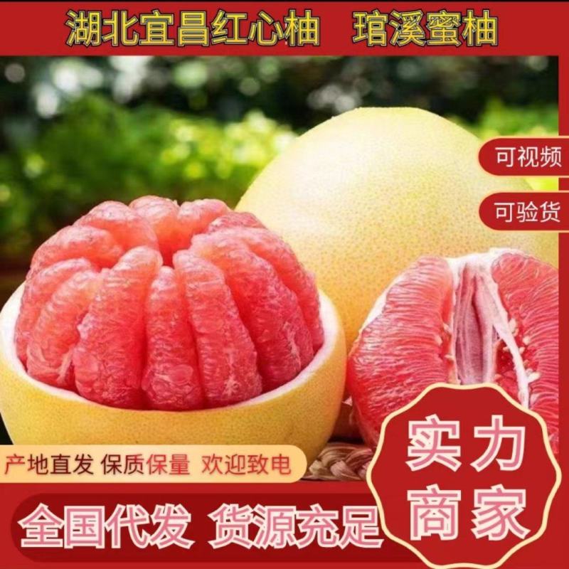 【精选】红心蜜柚湖北蜜柚对接市场电商外贸汁水肉厚