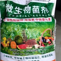 微生物菌剂