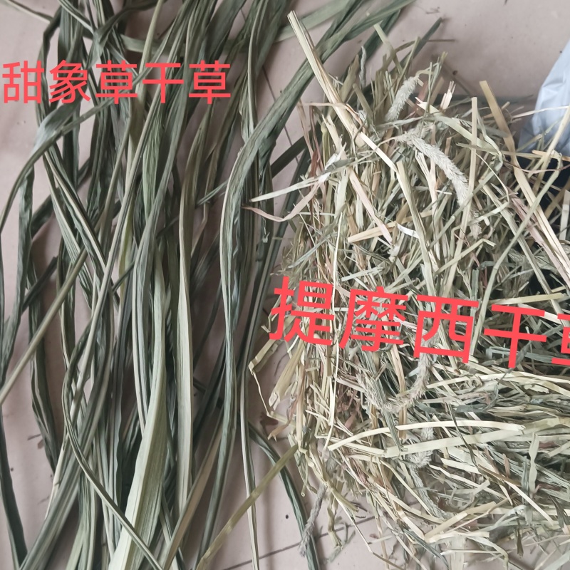 广西新鲜牧草干叶，