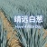 甘肃高原蔬菜大量上市欢迎大家前来采购，物美价廉
