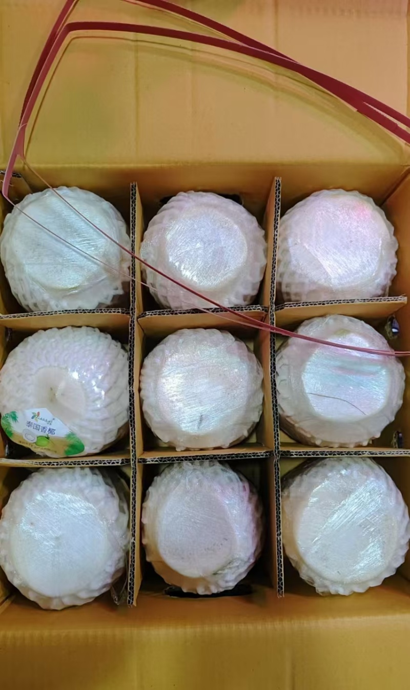 泰国香椰椰青批发，品质保证一手货源，价格优惠，