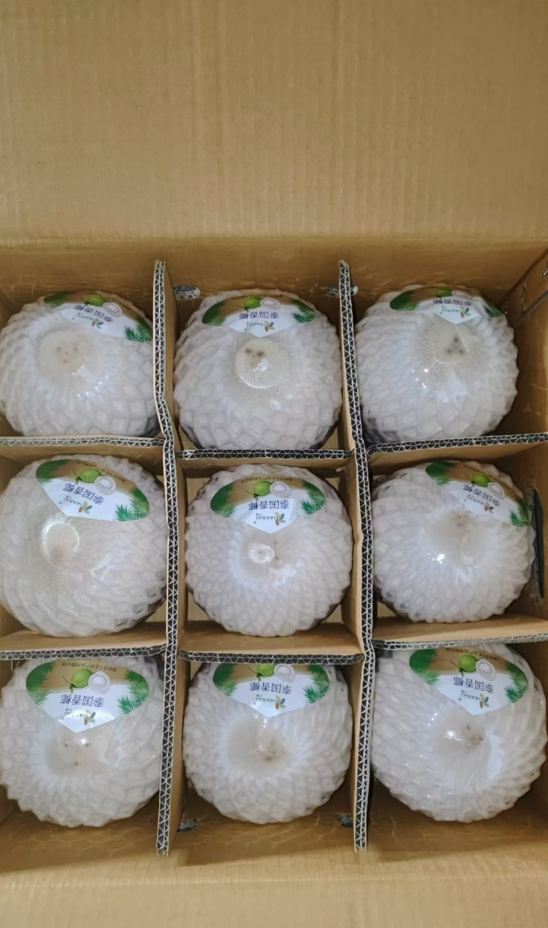 泰国香椰椰青批发，品质保证一手货源，价格优惠，