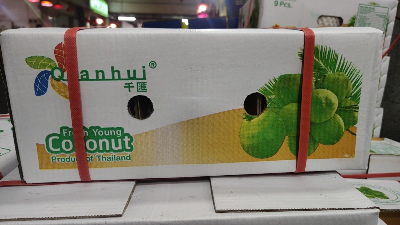 泰国香椰椰青批发，品质保证一手货源，价格优惠，