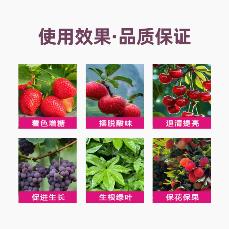 色彩含氨基酸水溶肥解决转色慢转色难退青着色肥料
