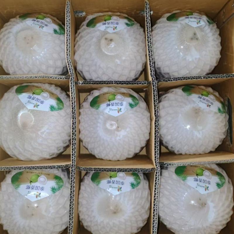 精品泰国香椰批发大果品质保证，量大优惠