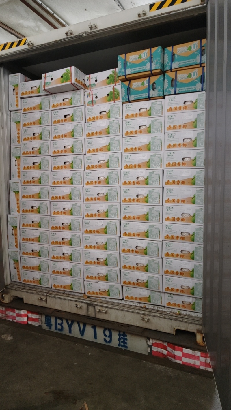 精品泰国香椰批发大果品质保证，量大优惠