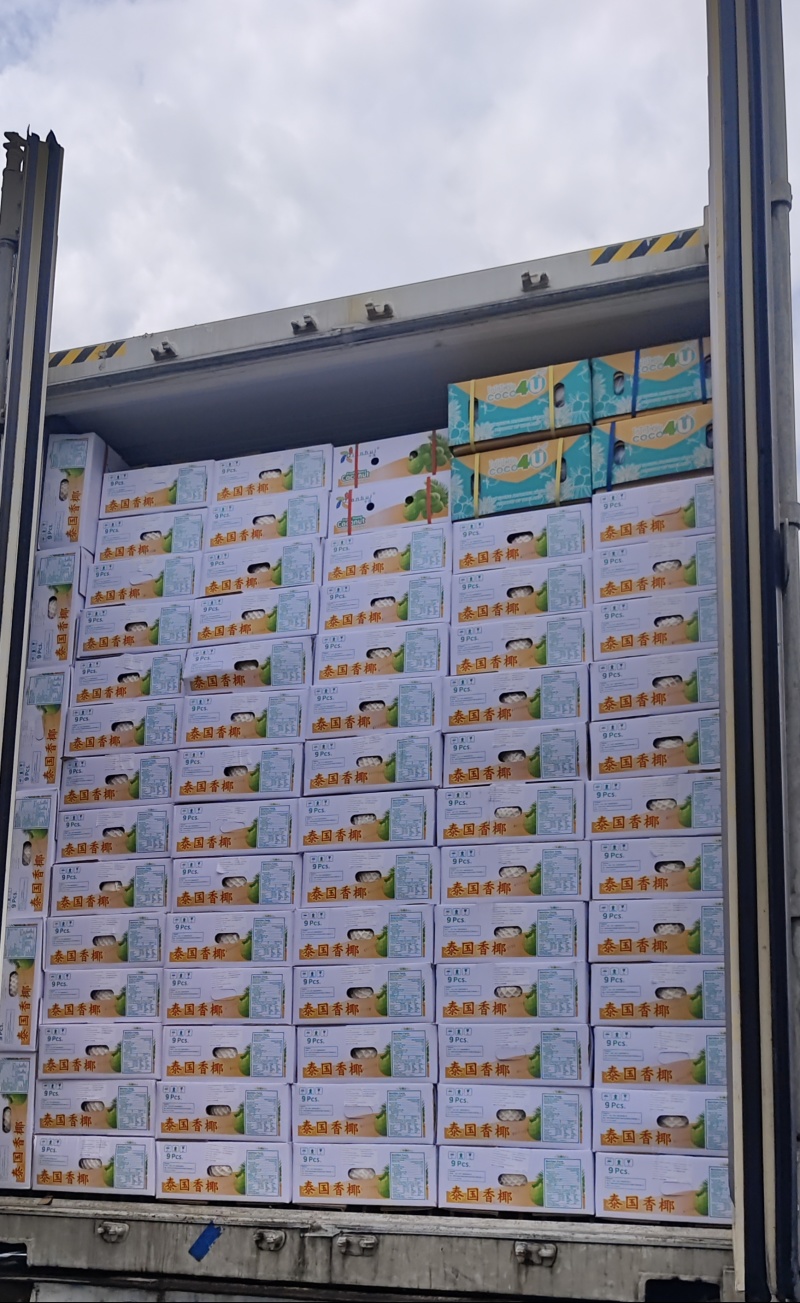 精品泰国香椰批发大果品质保证，量大优惠