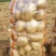 优选山东土豆黄心土豆荷兰十五土豆大量供应可视频看货