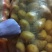 优选山东土豆黄心土豆荷兰十五土豆大量供应可视频看货