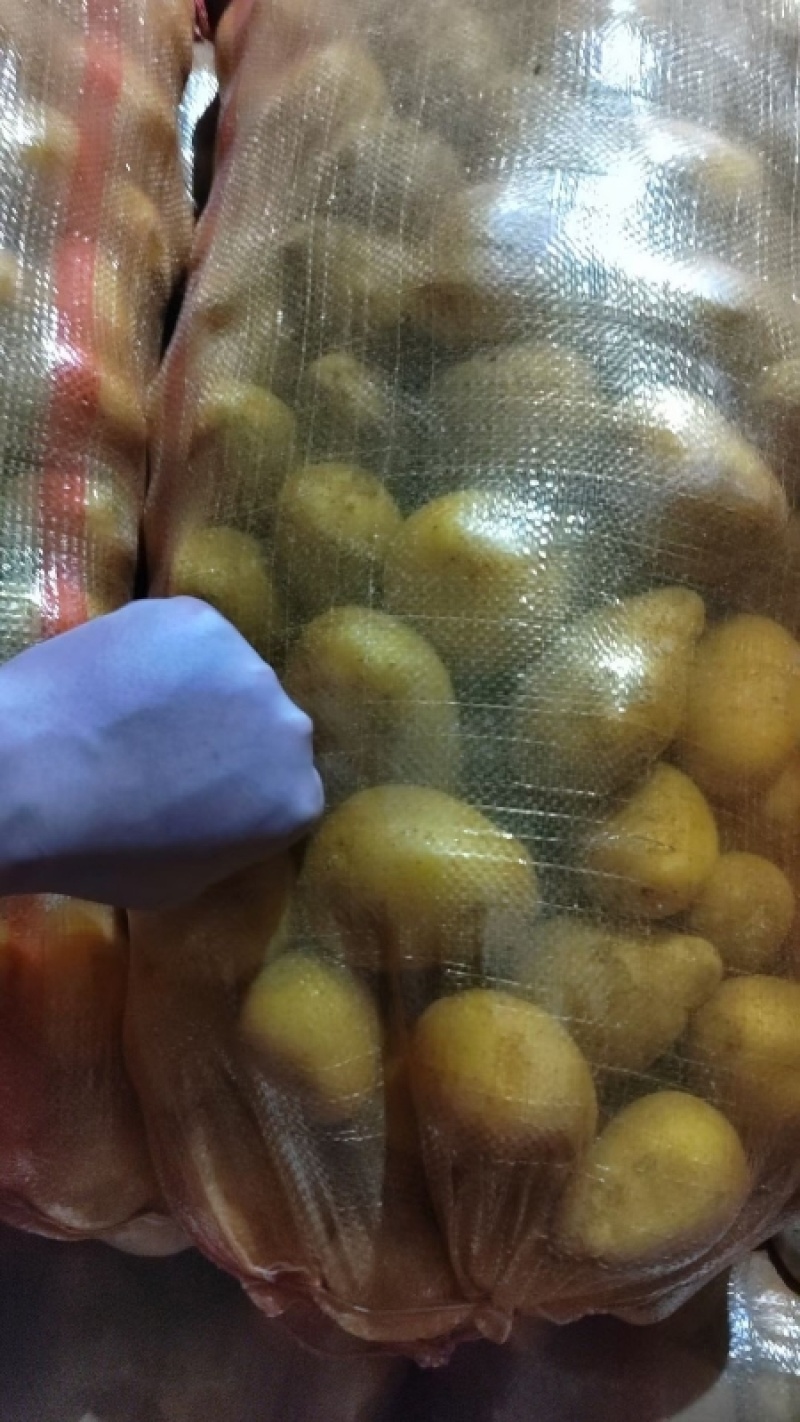 优选山东土豆黄心土豆荷兰十五土豆大量供应可视频看货