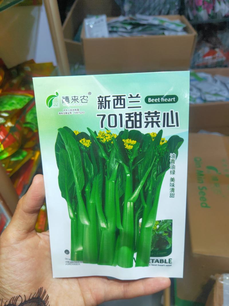 甜菜心种子早熟抗热耐湿青菜春秋四季播农家阳台庭院盆栽种植