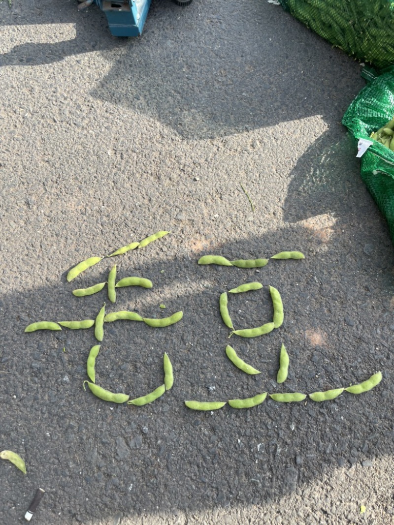 打量供应大青豆