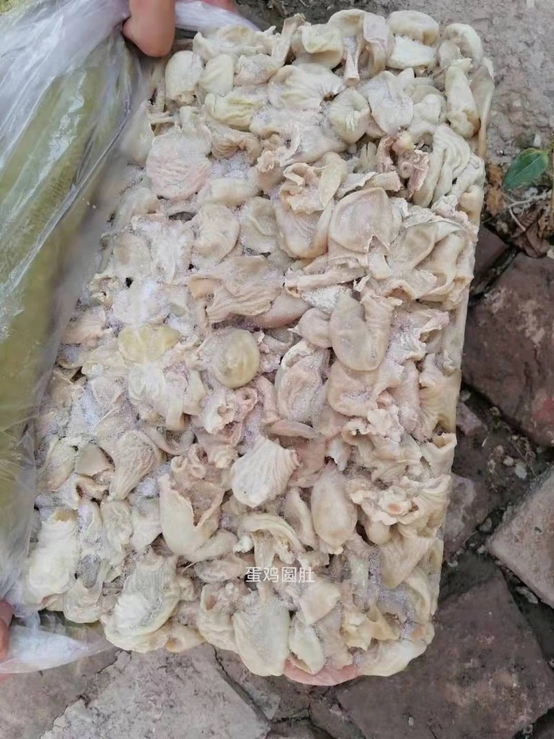 蛋鸡嗉皮圆肚（八成熟）