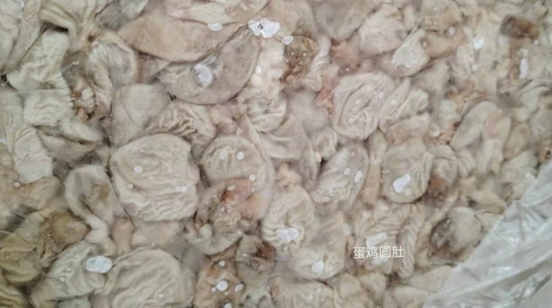 蛋鸡嗉皮圆肚（八成熟）